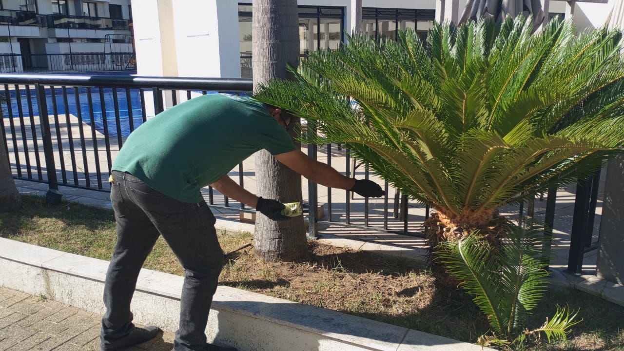 Jardinagem e paisagismo para condomínios